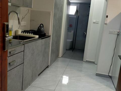 Apartment_L04_kitchen